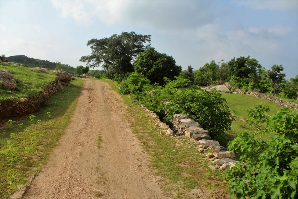 Photo of Trekking, camping, wildlife and waterfalls near second largest wall of world in Kumbhalgarh by Jimish Parekh