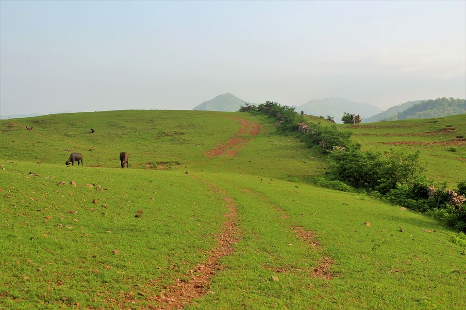 Photo of Trekking, camping, wildlife and waterfalls near second largest wall of world in Kumbhalgarh by Jimish Parekh