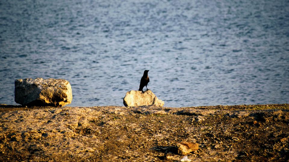 Photo of A peaceful conversation with Nature with Sun setting behind the Mountains at Kasarsai Dam, Pune by Jimish Parekh