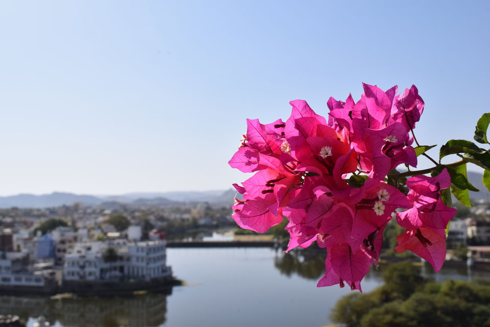 Photo of An incomplete odyssey to the city of lakes : Udaipur, India. by Jimish Parekh