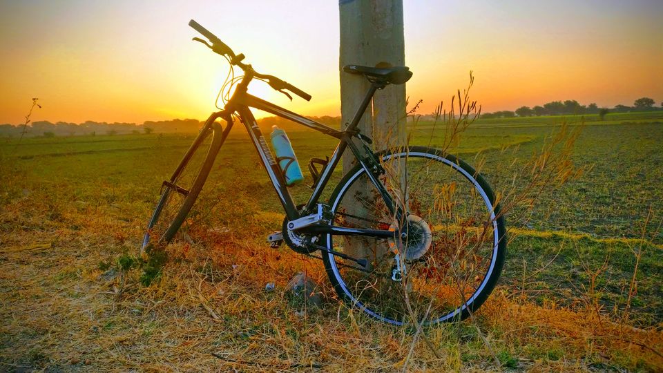 Photo of A serendipitous morning ride to bird sanctuary called Thol lake from Ahmedabad 2/4 by Jimish Parekh