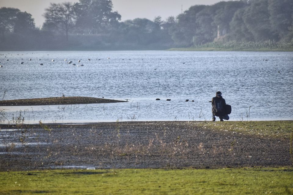 Photo of A serendipitous morning ride to bird sanctuary called Thol lake from Ahmedabad by Jimish Parekh