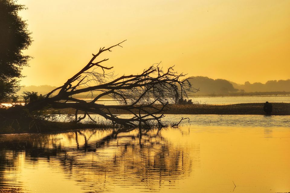 Photo of A serendipitous morning ride to bird sanctuary called Thol lake from Ahmedabad by Jimish Parekh
