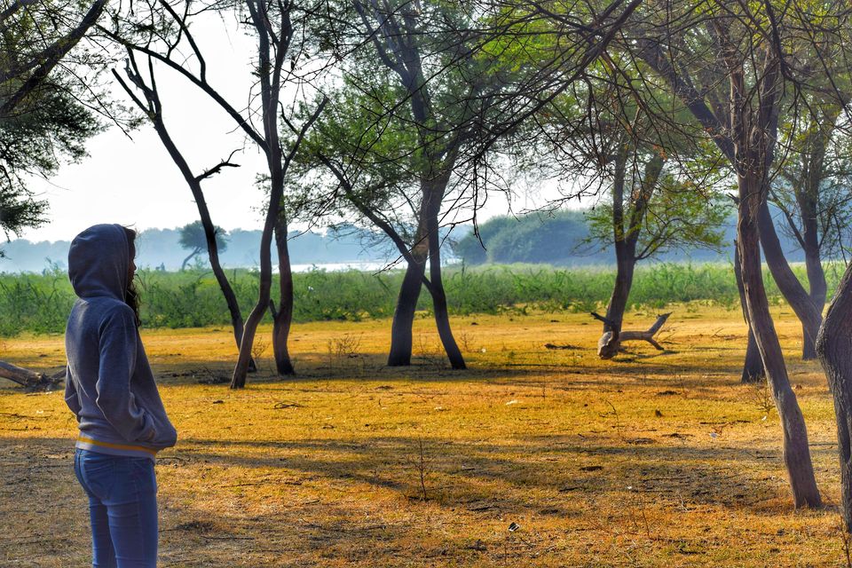 Photo of A serendipitous morning ride to bird sanctuary called Thol lake from Ahmedabad by Jimish Parekh