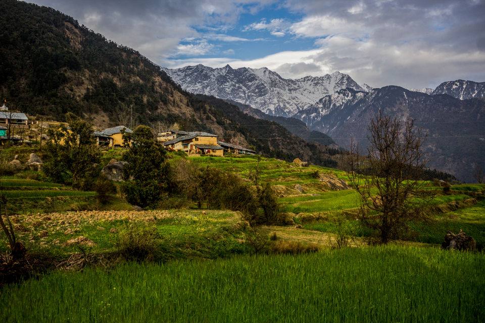 Photo of Lost and Found in the Himalayas by Hardik Nagda