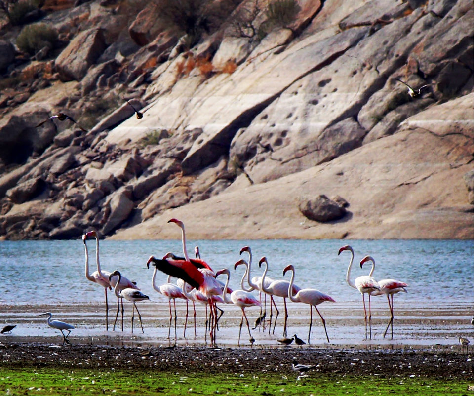 Photo of A Weekend Getaway To Jawai: Leopard Hills Of India by Dhawal Surana