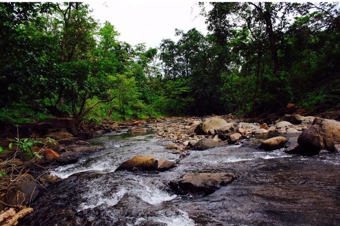 Photo of Malshej Ghats: Camping Right Next To Clouds by Dhawal Surana