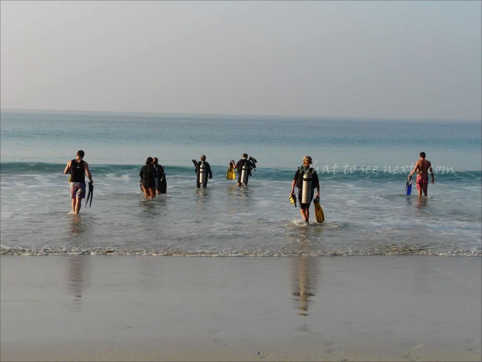 Photo of Meet Rajan, the swimming elephant by contact