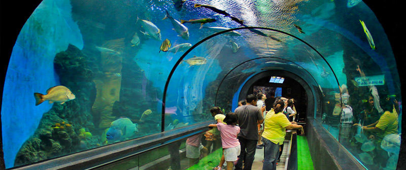 Photo of 5 Kid Friendly Destinations for a Vacation 7/7 by Vikram Khanna