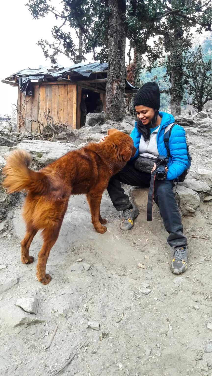 Photo of Har ki Doon, Sankari Range, Uttarakhand, India by priya thakur