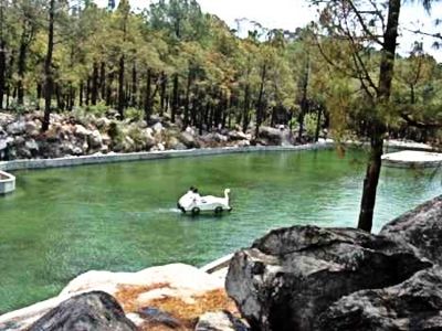 Photo of Palampur: worth seeing place in Himachal! by Ess E Dogra