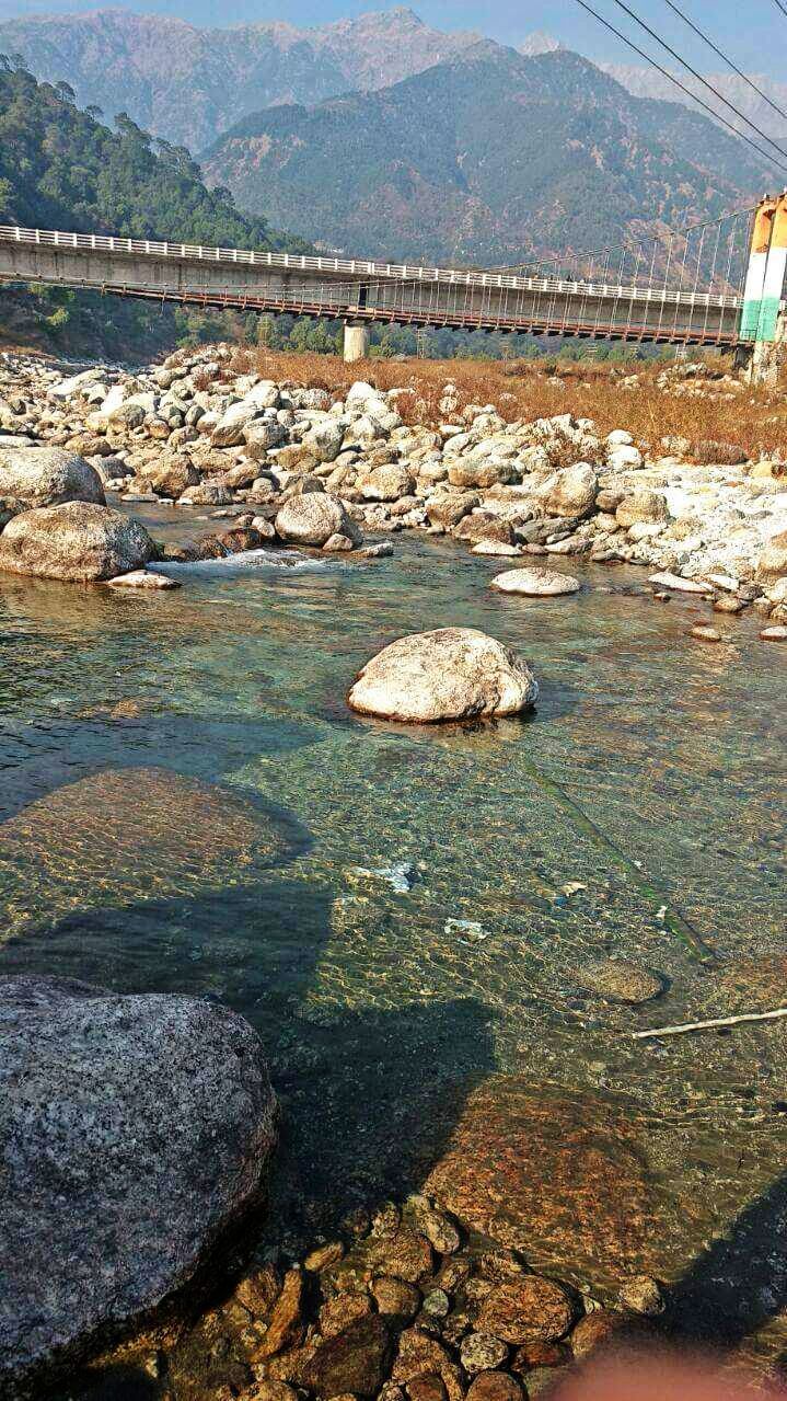 Photo of Palampur: worth seeing place in Himachal! by Ess E Dogra