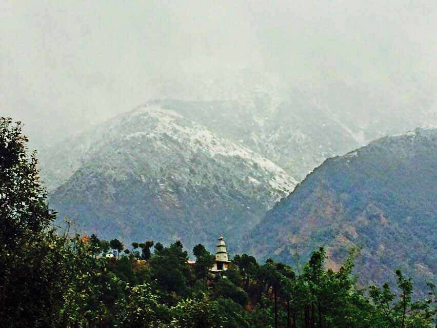 Photo of Palampur: worth seeing place in Himachal! by Ess E Dogra