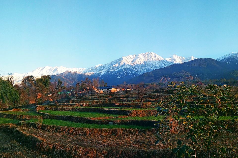 Photo of Palampur: worth seeing place in Himachal! by Ess E Dogra