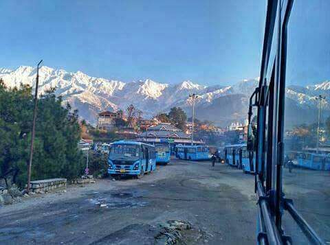 Photo of Palampur: worth seeing place in Himachal! by Ess E Dogra