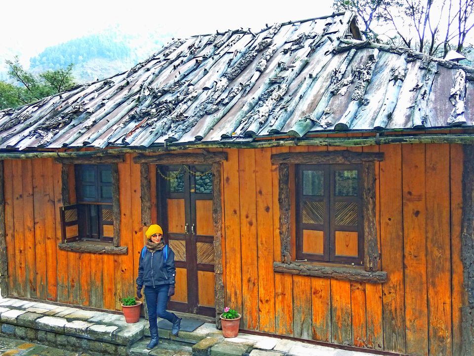 Photo of Palampur: worth seeing place in Himachal! by Ess E Dogra