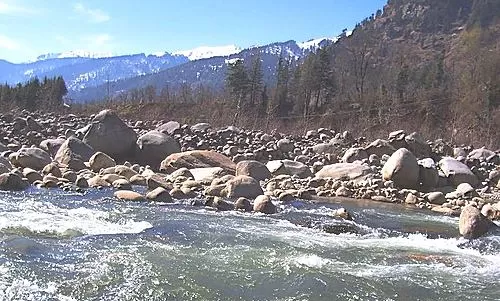 Photo of Manali, Himachal Pradesh, India by Badari Deshpande