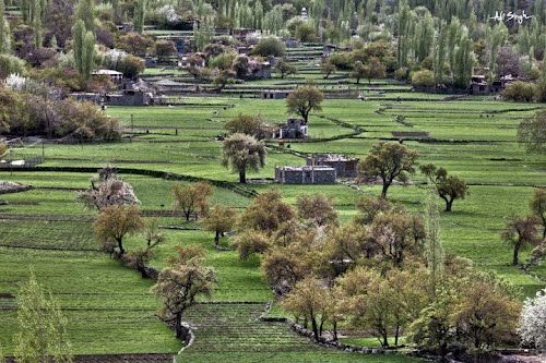 Photo of Turtuk by Badari Deshpande