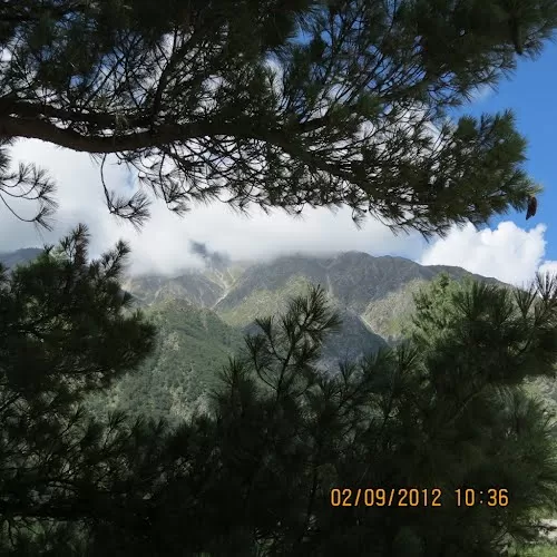 Photo of Rakchham, Himachal Pradesh, India by Badari Deshpande