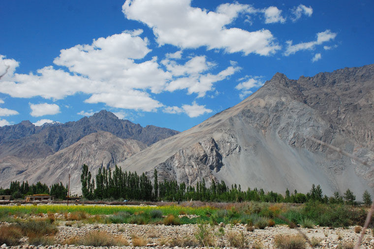 Photo of Nubra Valley by Badari Deshpande