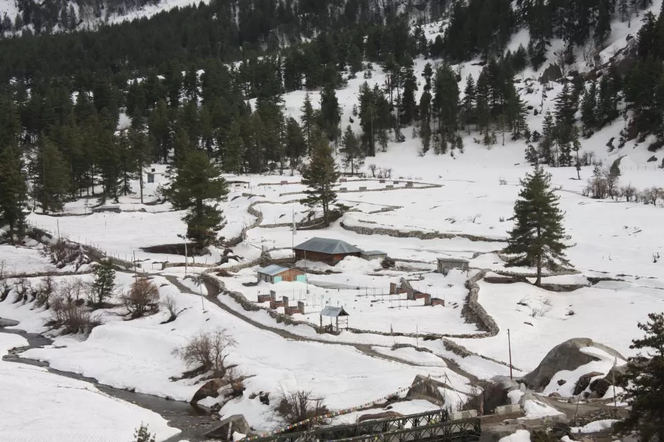 Photo of Rakchham, Himachal Pradesh, India by Badari Deshpande