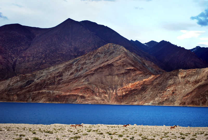 Photo of Tso moriri by Badari Deshpande