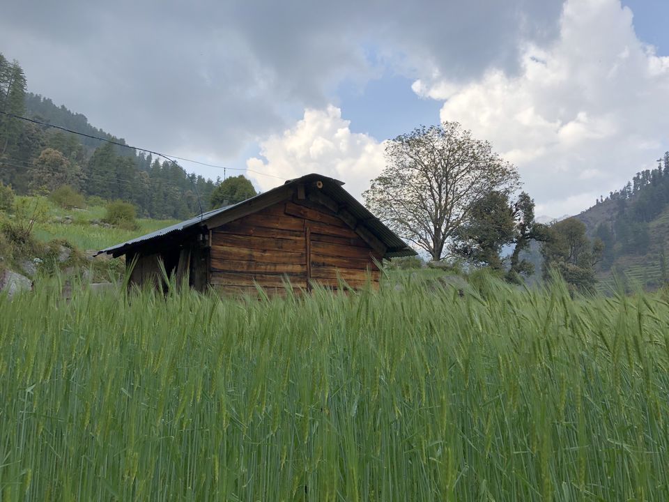 Photo of Barot - untouched paradise nestled in Himalayan valley !! by AKASH AK