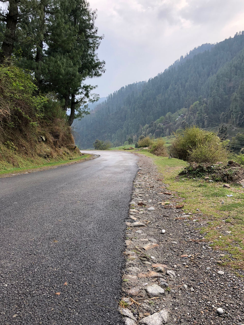 Photo of Barot - untouched paradise nestled in Himalayan valley !! by AKASH AK