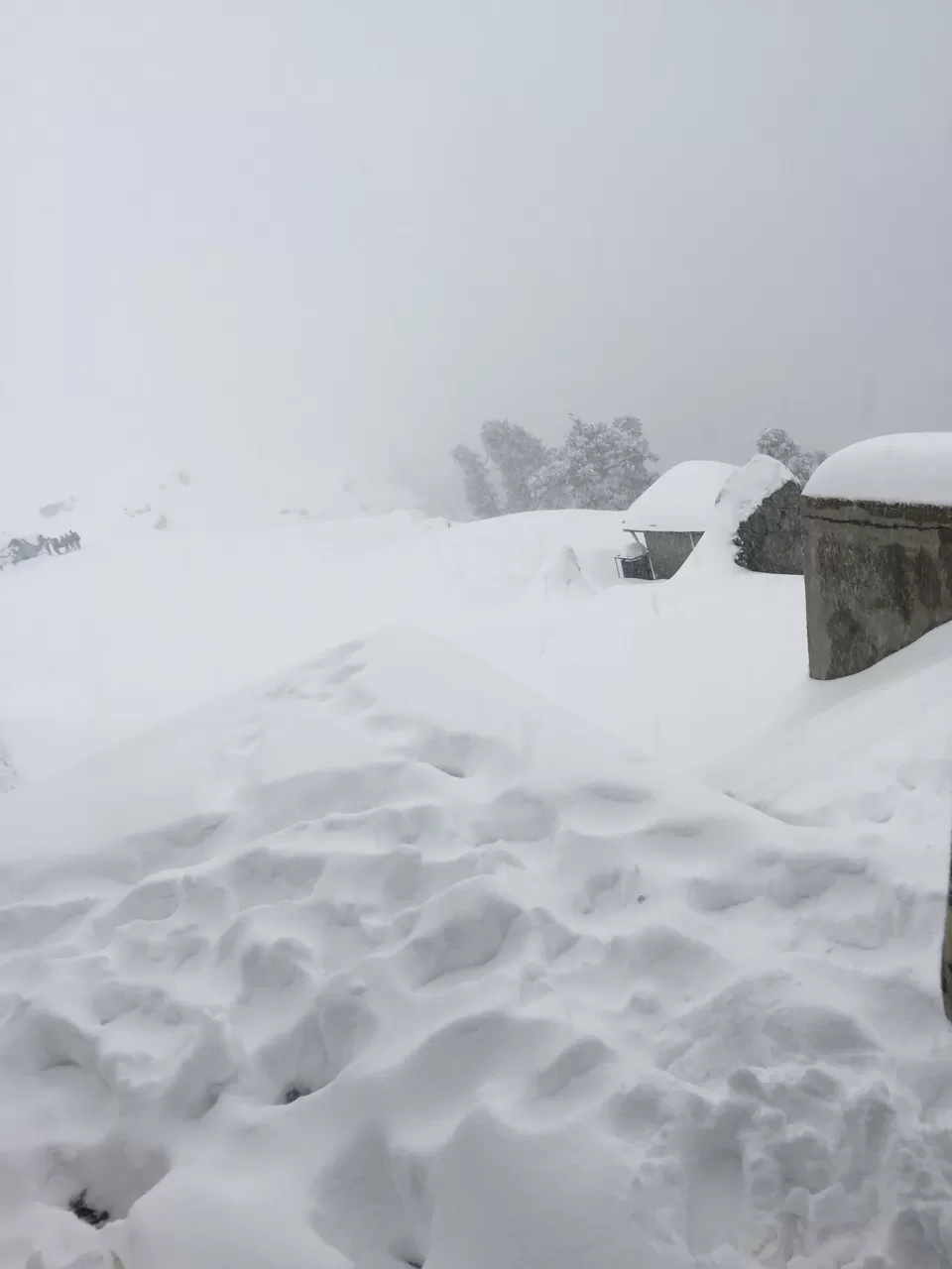 Photo of Triund Hill Mountain Lodge & Camping, Dharamshala, Himachal Pradesh, India by Hardik Vaidya