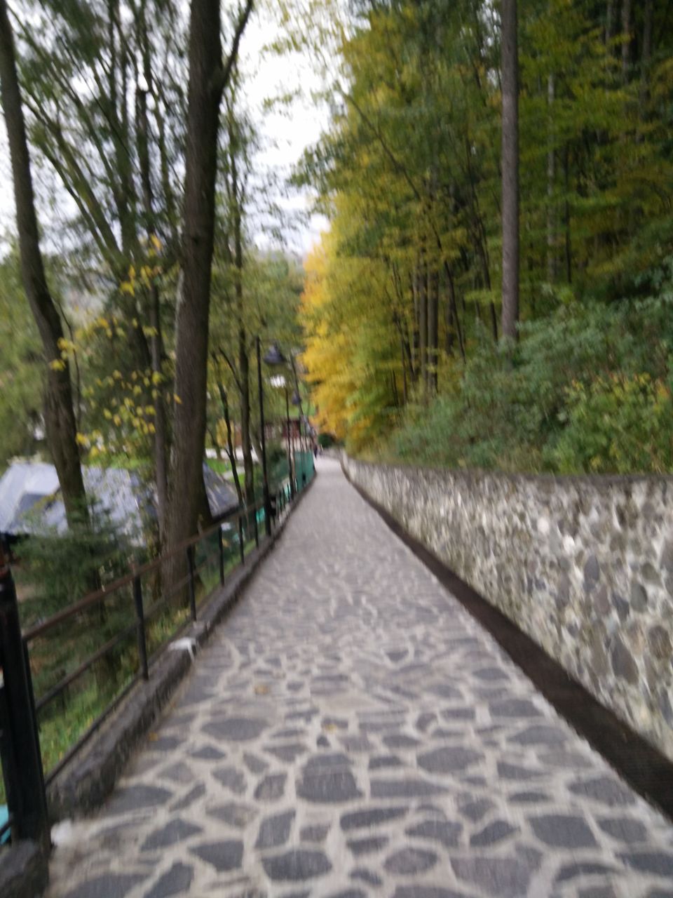 Photo of Dracula Castle in Bran, Romania 10/30 by Pallavi Nair