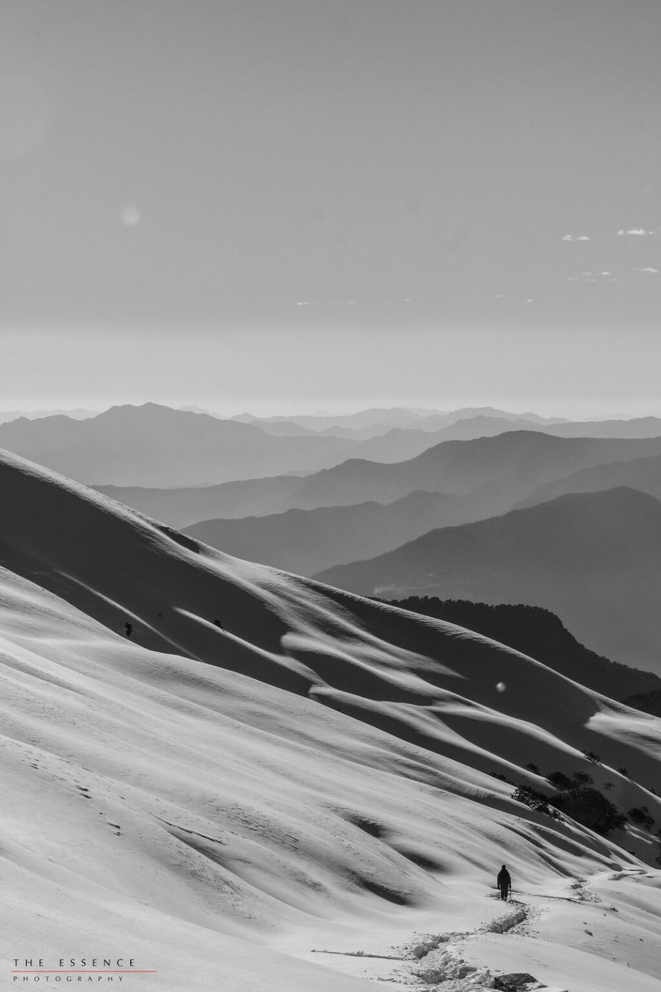 Photo of Chopta - Tungnath - Chandrashilla by Aakash singh sengar
