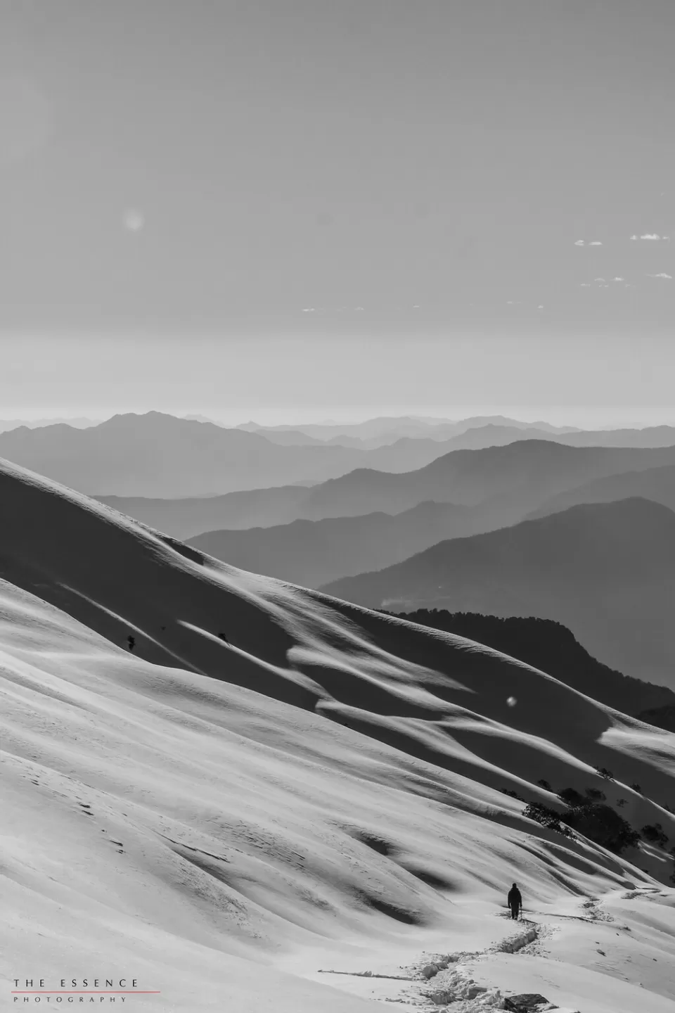 Photo of Chopta - Tungnath - Chandrashilla by Aakash singh sengar