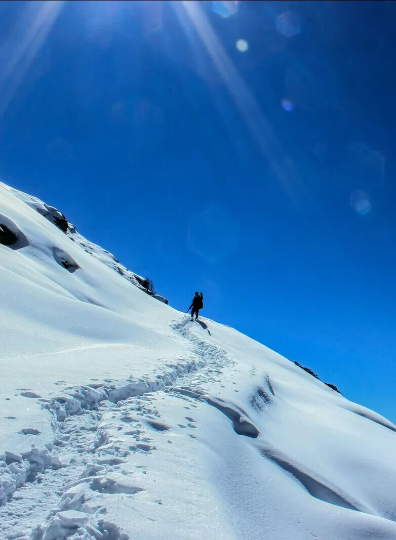Photo of Chopta - Tungnath - Chandrashilla by Aakash singh sengar