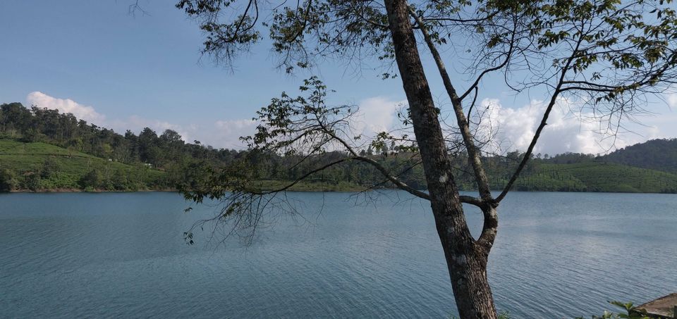Photo of Parambikulam - A Hidden Paradise by Arunkumar