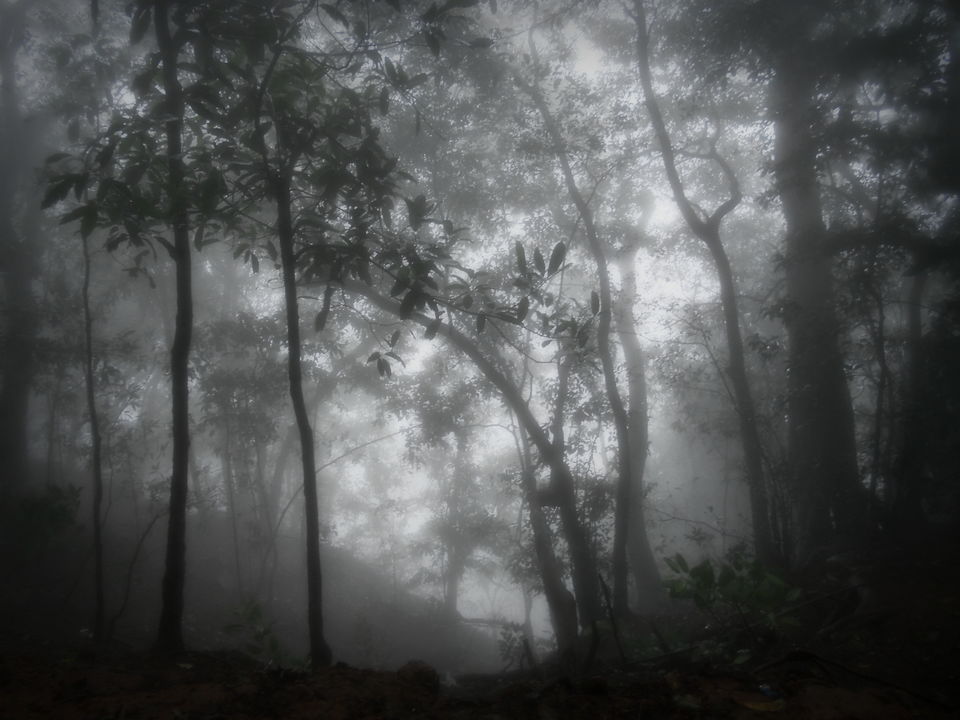 Photo of A One Day Trip To Matheran - #lostineco by Vinay Thakur