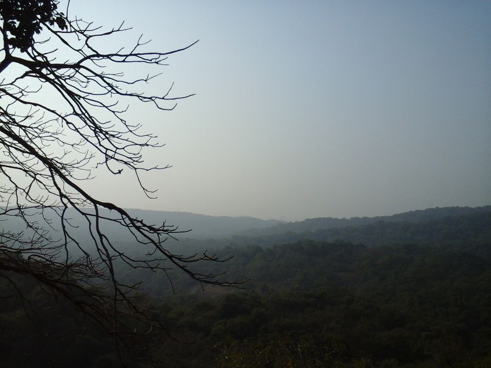 Photo of A day trip to Kanheri caves #BuddhaPlace by Vinay Thakur