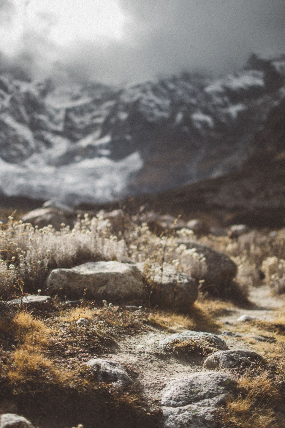 Photo of Neelkanth- a little beyond Mana. 5/8 by Pratik Gupta