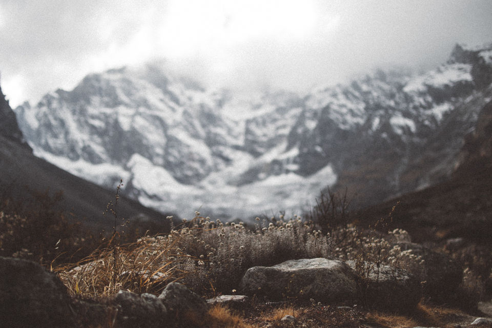 Photo of Neelkanth- a little beyond Mana. 7/8 by Pratik Gupta