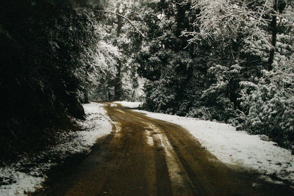 Photo of 5 Things to keep in mind before you plan your next getaway to snow. 17/17 by Pratik