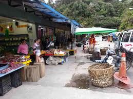 Photo of Shopping at Cameron Highlands, Malaysia 2/3 by singaporetravel03