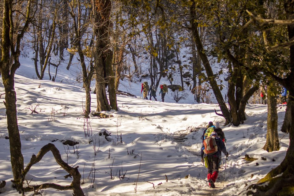 Photo of Paradise in mountain : Kedarkantha 10/21 by leshan haider