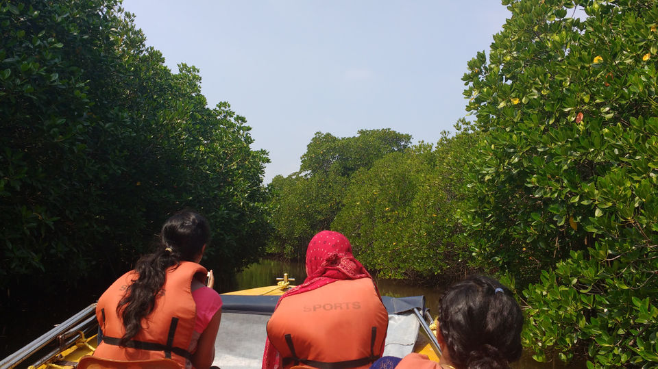Photo of A trip to South India's beautiful destination- Pichavaram, Tamil Nadu by Chaitali Satish Kulkarni