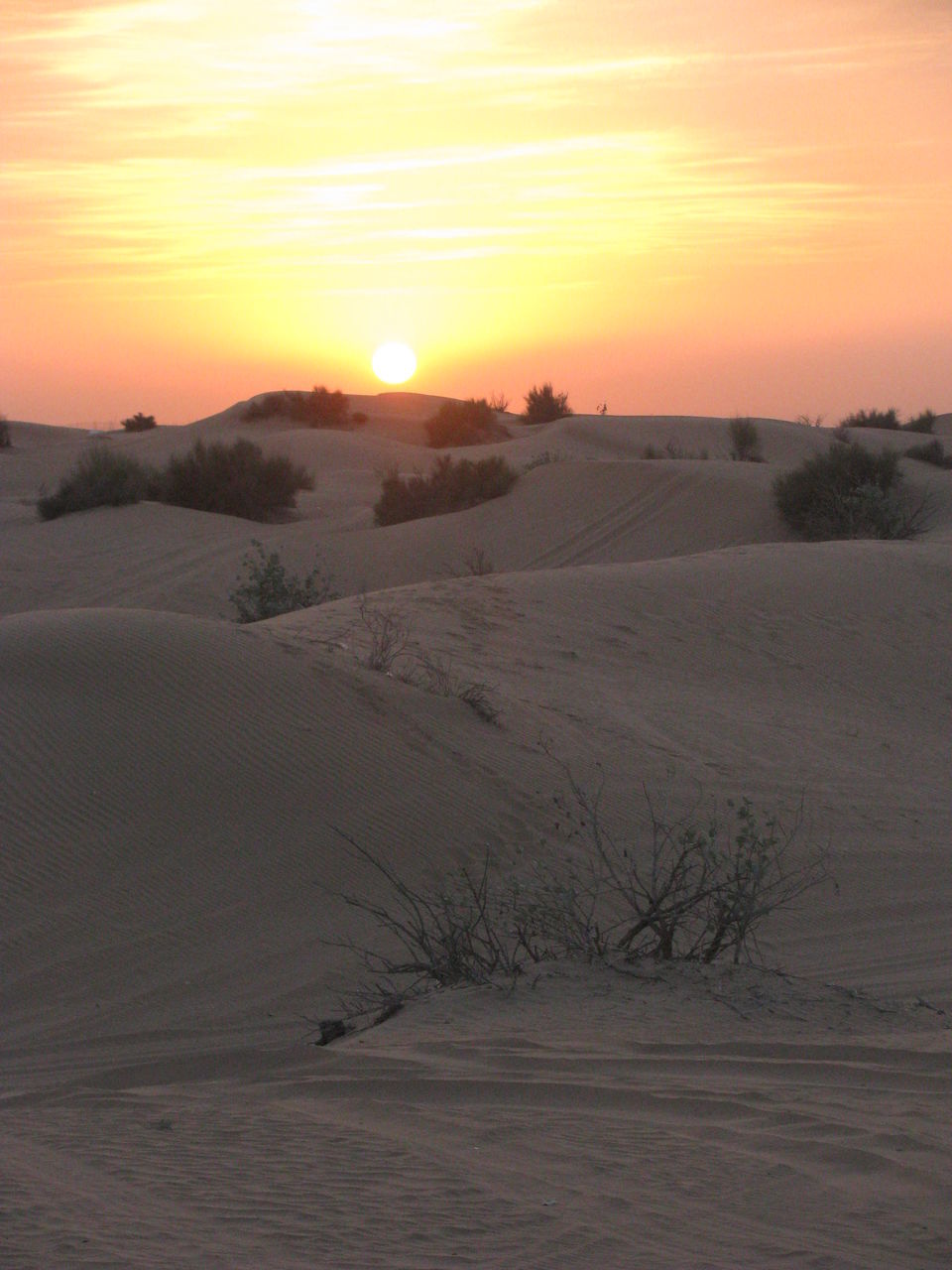 Photo of Golden Dubai - Trip Itinerary for first time travellers by Chaitali Satish Kulkarni
