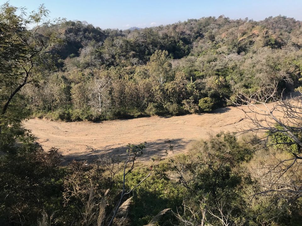 Photo of AN OFF-ROAD EXPLORATION - THE PLACE WHERE THE BIG CAT SATIATES ITS HUNGER 1/18 by Jayant Balyan