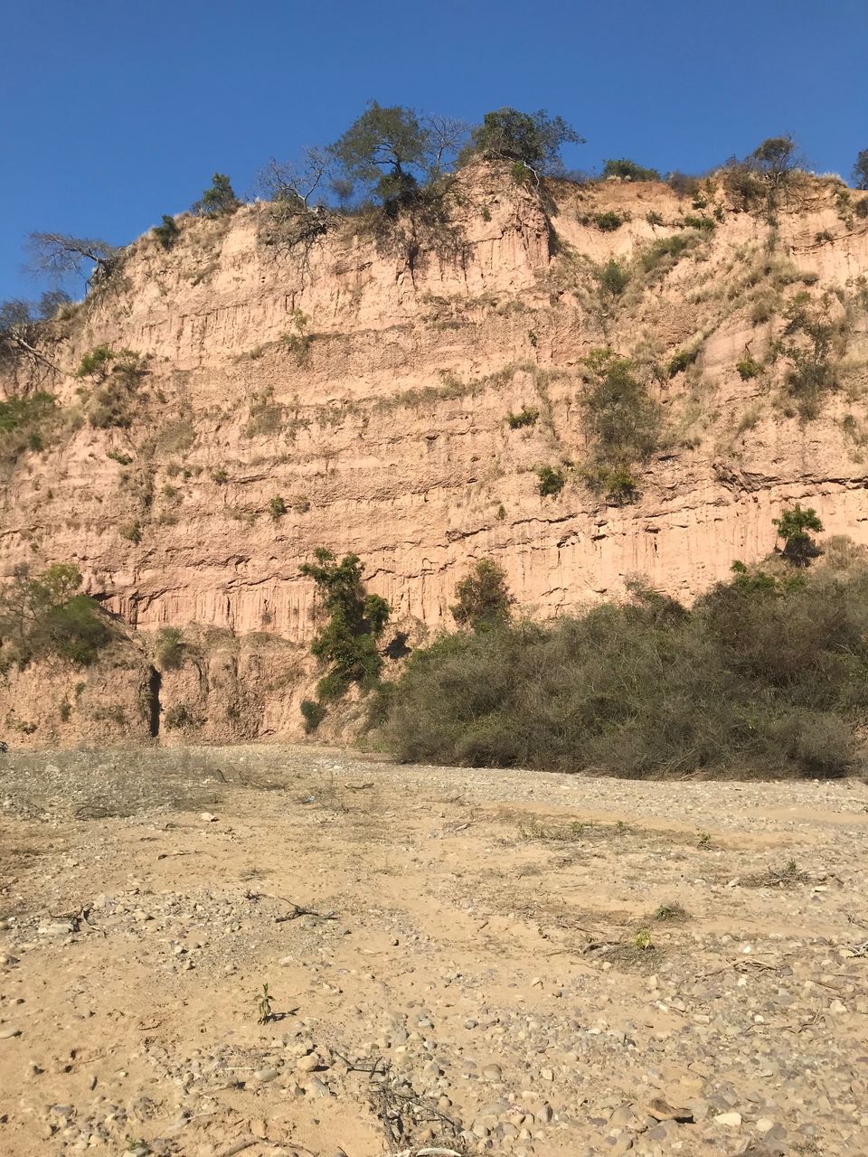 Photo of AN OFF-ROAD EXPLORATION - THE PLACE WHERE THE BIG CAT SATIATES ITS HUNGER 3/18 by Jayant Balyan