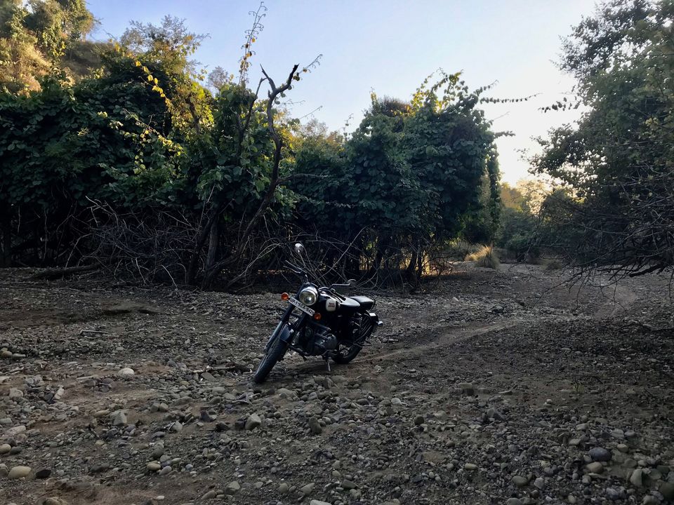 Photo of AN OFF-ROAD EXPLORATION - THE PLACE WHERE THE BIG CAT SATIATES ITS HUNGER 5/18 by Jayant Balyan
