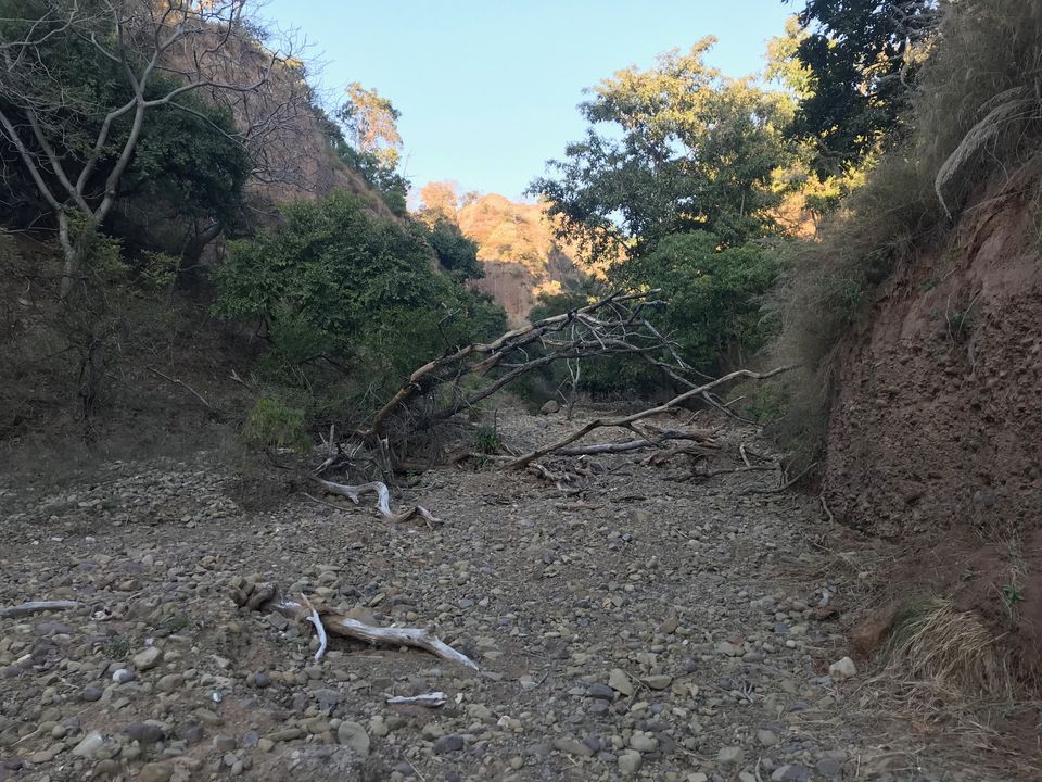 Photo of AN OFF-ROAD EXPLORATION - THE PLACE WHERE THE BIG CAT SATIATES ITS HUNGER 12/18 by Jayant Balyan