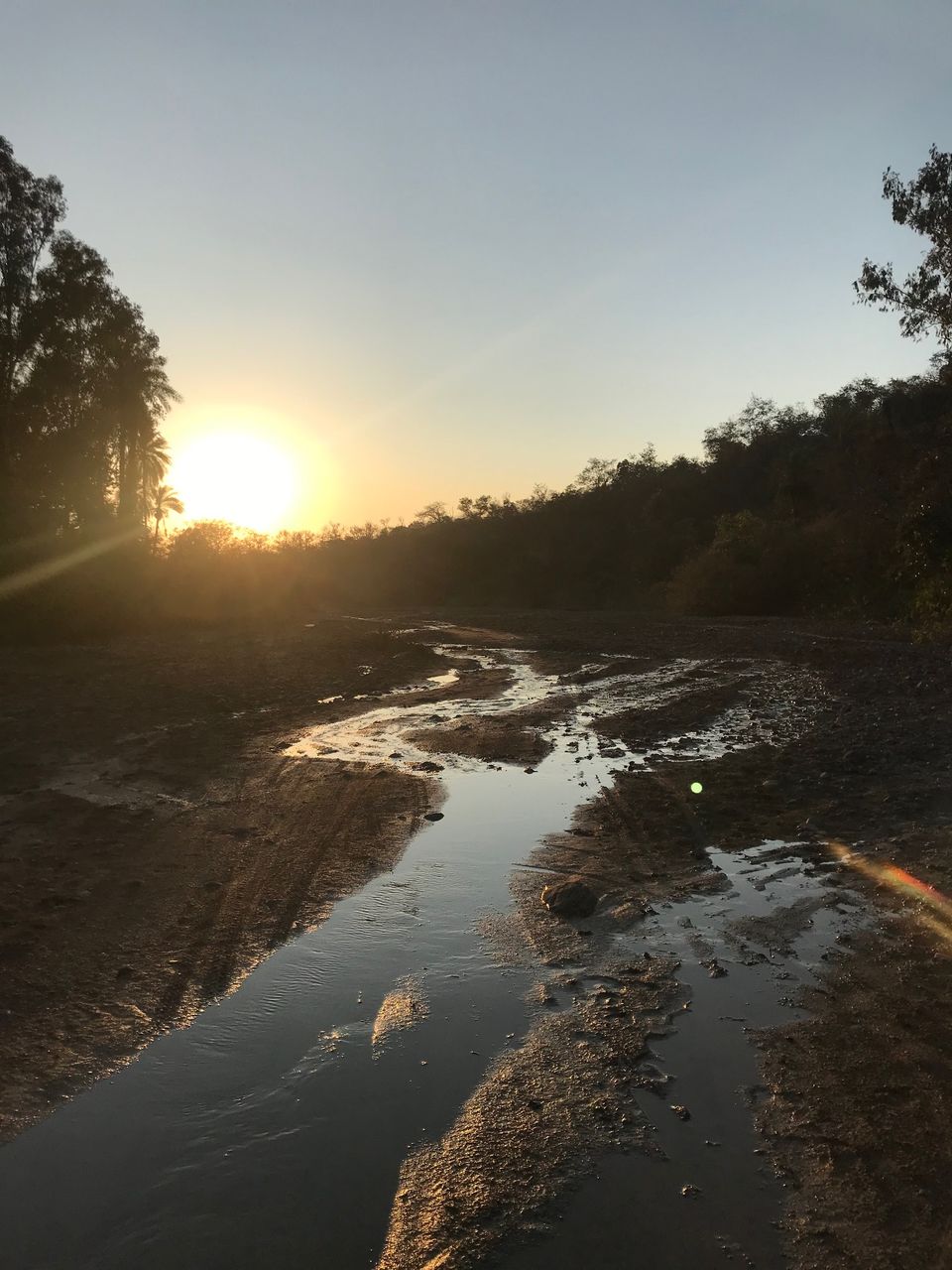 Photo of AN OFF-ROAD EXPLORATION - THE PLACE WHERE THE BIG CAT SATIATES ITS HUNGER 14/18 by Jayant Balyan