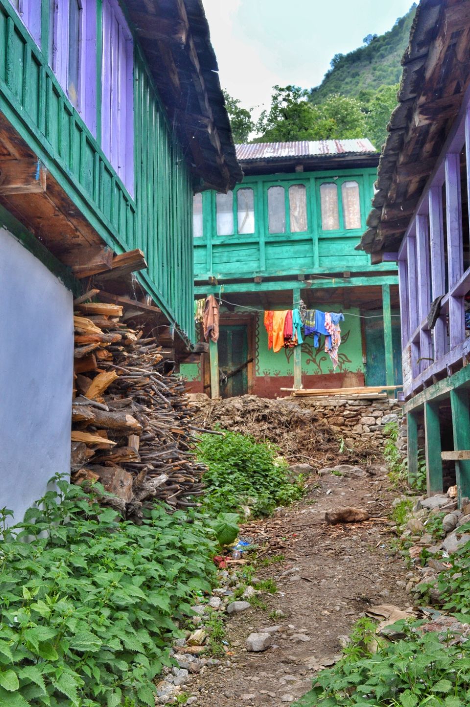 Photo of Tosh, Himachal Pradesh, India by Shikhar Lohia