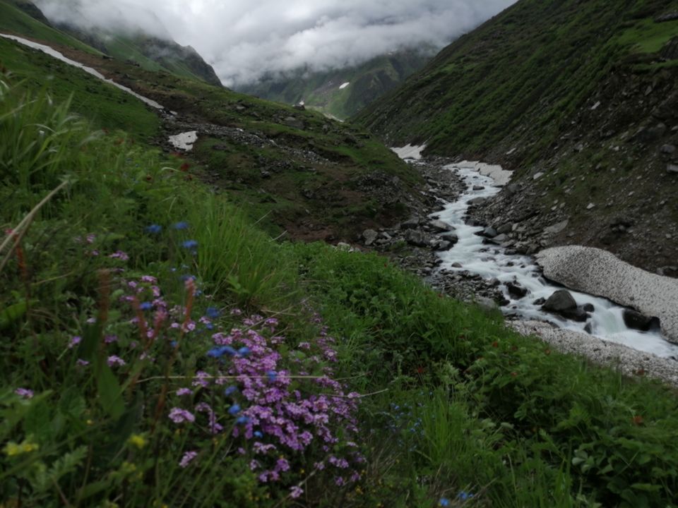 Photo of Great Himalayan National Park by Panki Sood